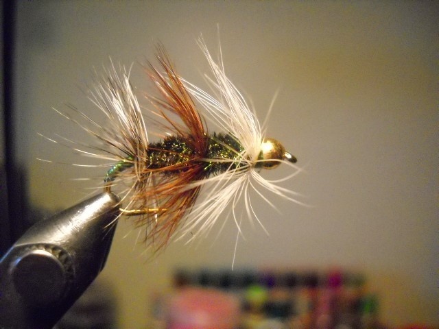 A great all around still water fly the super renegade BH
