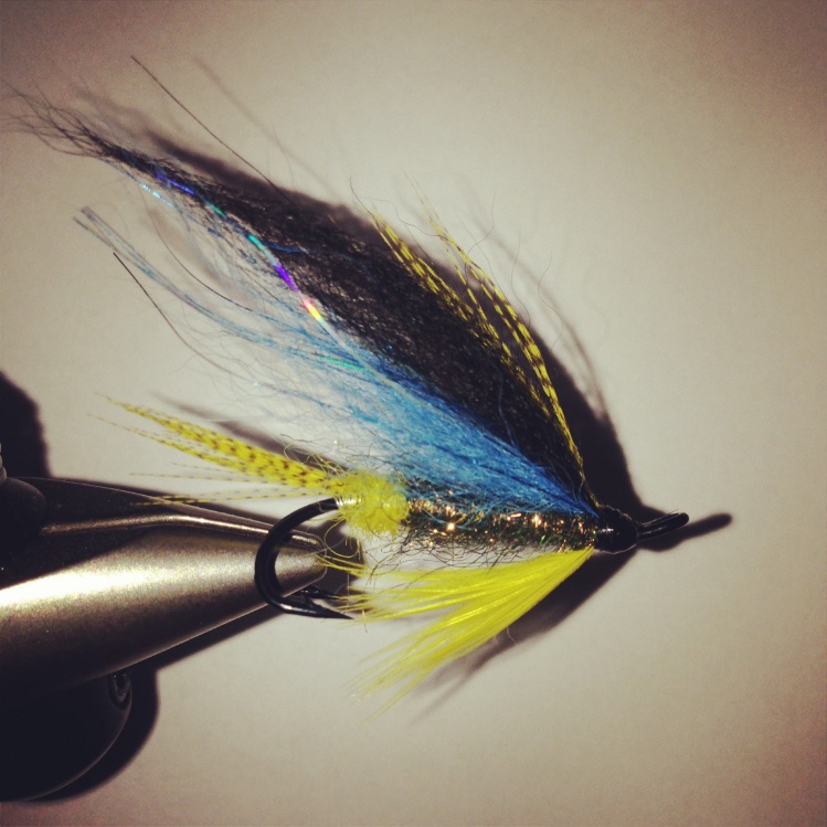 Fast fisk, my favourite pattern for sea trout and salmon! real killer!