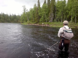 Two BEST- two factors,  the main rules in salmon fishing. 