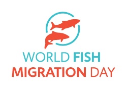 World Fish Migration Day 2014