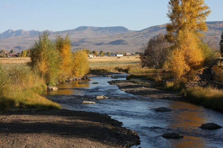 Fisheries Restoration and Enhancement - Gunnison County: 

Posessing incredible potential, the primary limiting factor for this fishery was the lack of diverse habitats including high and low water refuge. This reach was also previously channeled which di