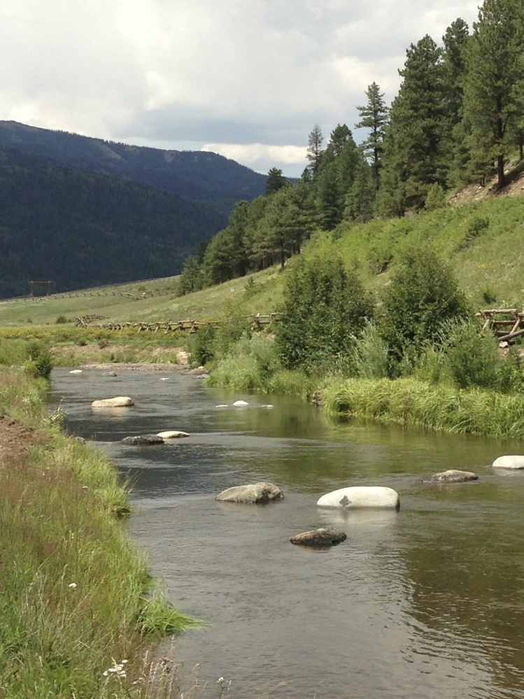 Fisheries Restoration and Enhancement - Hinsdale County, Colorado:

Years of intensive livestock grazing practices and little consideration for the health of the fishery caused various forms of degradation on this section of Weminuche Creek. Under new own