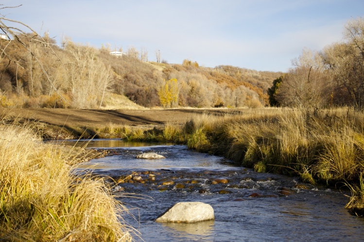 Fisheries Restoration and Enhancement - Summit County, Utah:

With a rare 1.5 miles of riverfront on the Upper Provo River and nearly 2.5 miles of spring creek, the potential of this property to become a premier fishing destination was overwhelming.

Due 