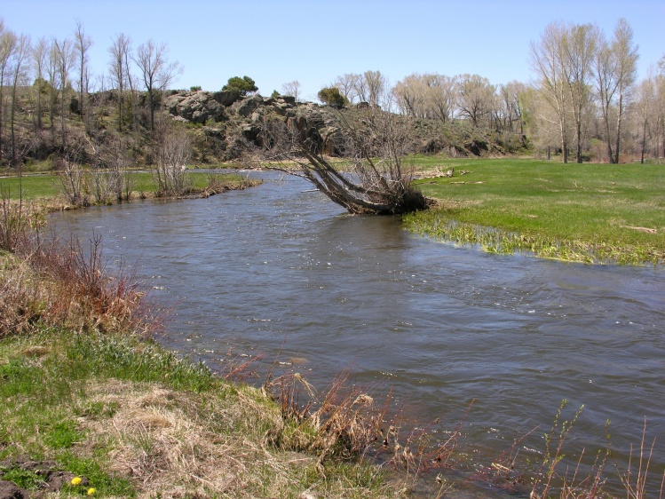 Small Stream Salmonid Habitat Improvement - Gunnison County, Colorado: 

In order to increase productivity of the brown trout fishery on Quartz Creek, CFI has commenced studies and design of specific habitat improvement structures. CFI has embraced the ch