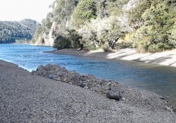 Noticias: Dragaron el arroyo Angostura, zona de desove para las truchas