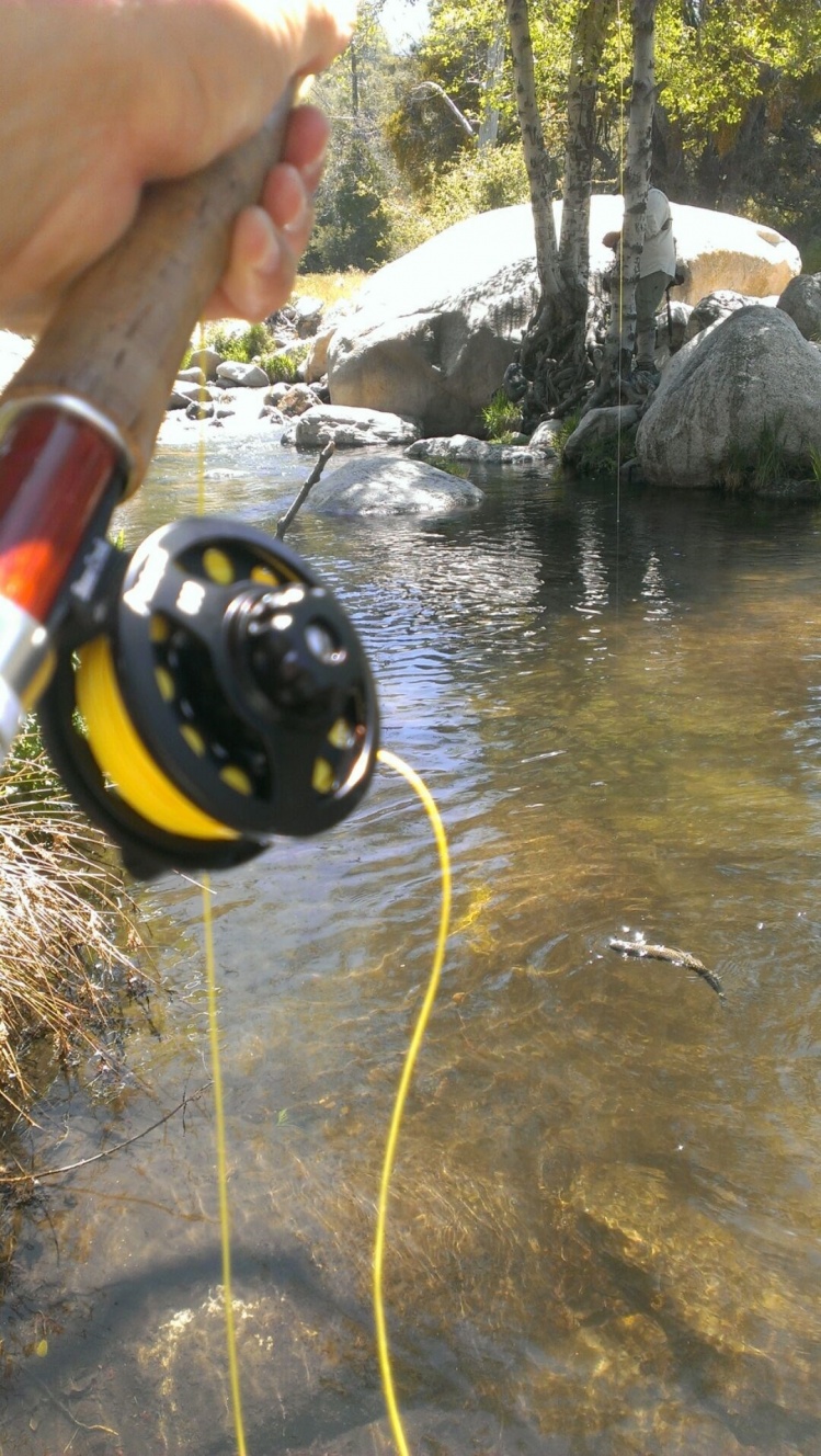 2wt creek fishing
