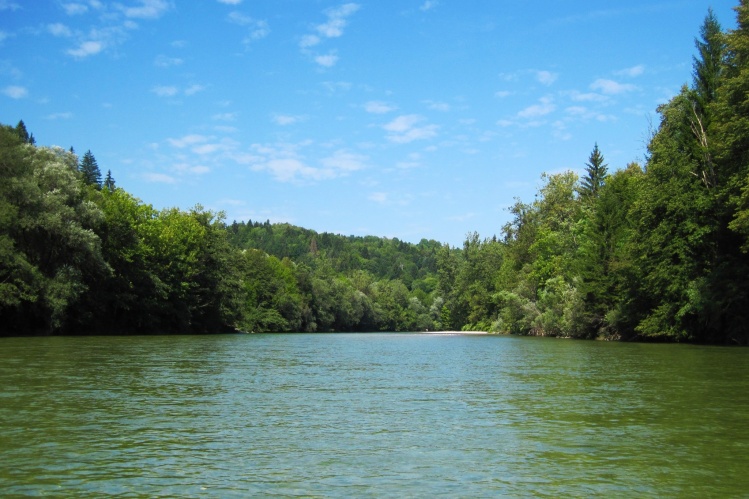 This part of Sava river is managed by fishing club Tržič