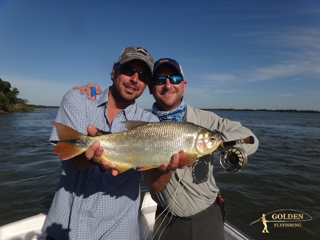 Bonefish like speed,  “Salmon of the river” is a fiercely fighting freshwater fish known for its line-ripping runs. It is undoubtedly one of the most exquisite fishing experiences that our region offers. - Golden Fly fishing.