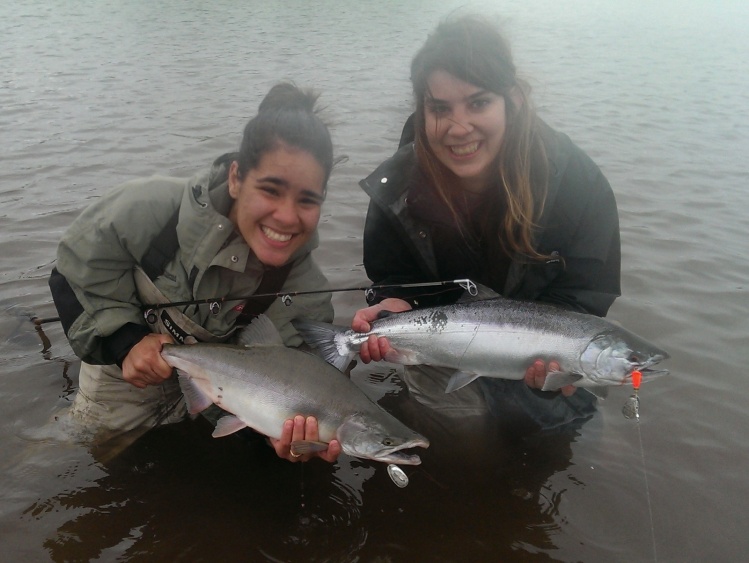 Silver and Pink Salmon