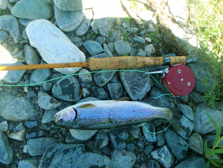 This nice Rainbow was landed with a bamboo rod given to me by a friend years ago. Each year I cast to trout long enough to land one nice fish. Also the spring loaded reel makes it more fun. 