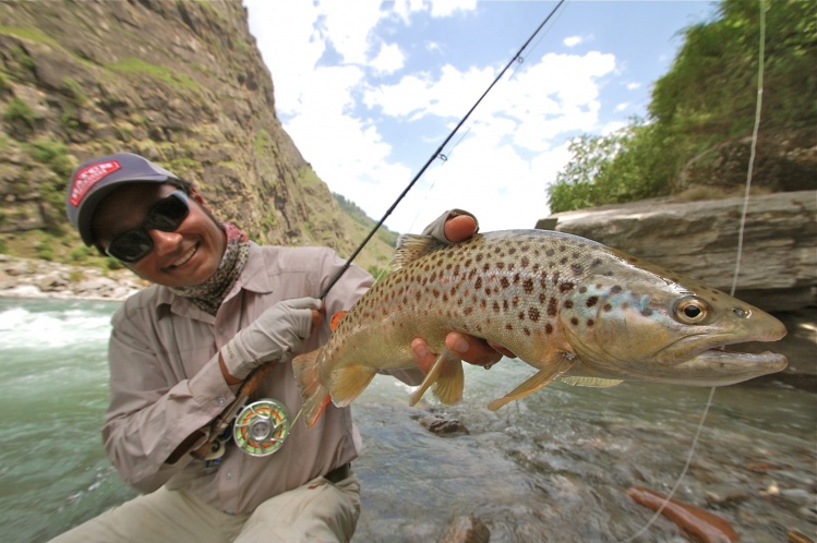Brown Trout fishing trips in the Himalayas ... 