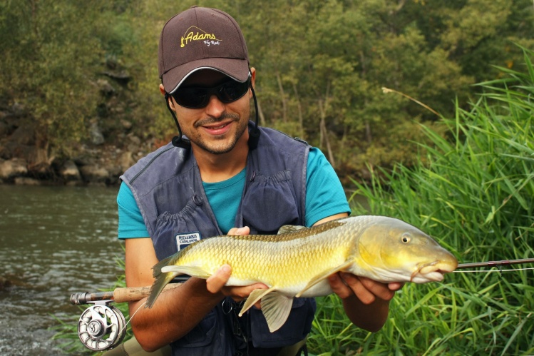 Barbel in shallow waters, sight fishing!
