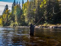 Fly fishing picture