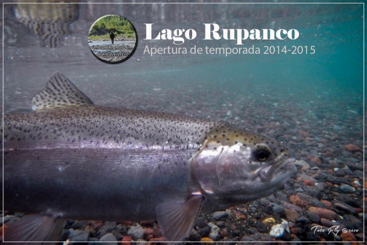 Hola amigos...
Hoy quiero dejarles un lindo reporte fotográfico de mi apertura de temporada en el Lago Rupanco - Chile 
Espero les guste....
<a href="http://www.totofly.cl/2014/10/apertura-de-temporada-2014-2015-en-lago-rupanco/">http://www.totofly.cl/201</a>