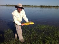 Fly fishing picture