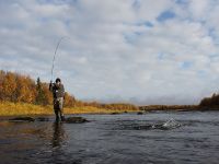 Chavanga salmon fishing