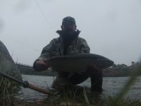 marron de abajo del puente del limay 