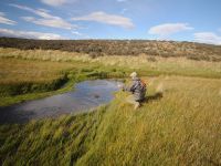 Fly fishing picture