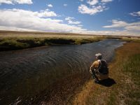 Fly fishing picture