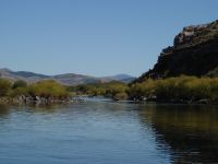 Foto de pesca con mosca