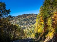 Fall Colours-Absolutely amazing