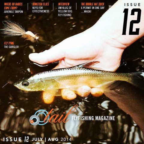 Tail Fly Fishing Magazine by Flyfishbonehead- Read it for free at <a href="http://www.flyfishbonehead.com/tail-flyfishing-free-online-magazine/">http://www.flyfishbonehead.com/tail-flyfishing-free-online-magazine/</a>