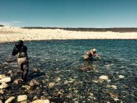 Fly fishing picture