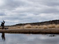 Fly fishing picture