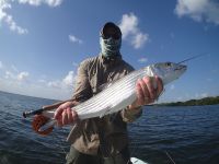 Fly fishing picture