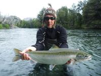 Landlocked Salmon of 30" caught by Hernan Tiscornia in the Nelly Blood pool of the Traful River, at Estancia Arroyo Verde during the afternoon.