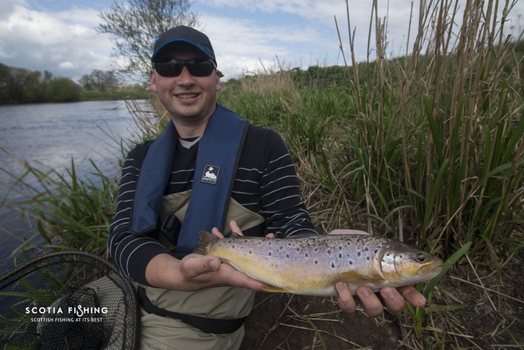 French guest with a lovely wild brown trout