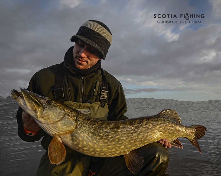 Owner with a nice Pike in the warm evening light.