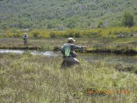 Fly fishing picture