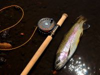 Fly fishing picture