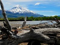 Fly fishing picture