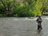 Fly fishing picture