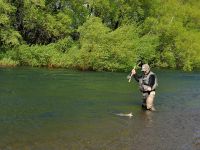 Fly fishing picture