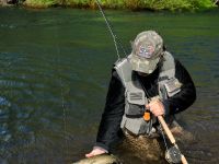 Fly fishing picture