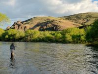 Fly fishing picture