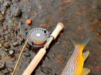 Fly fishing picture