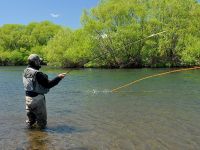 Fly fishing picture