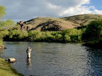 Fly fishing picture