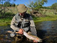 Fly fishing picture