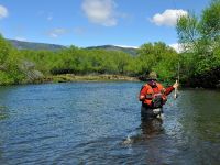 Fly fishing picture