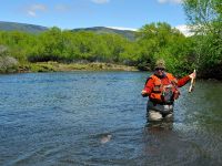 Fly fishing picture