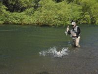 Fly fishing picture