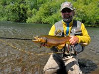 Fly fishing picture