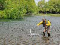 Fly fishing picture