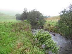 streams and stillwaters, KZN Midlands, South Africa