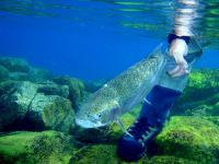 Foto de pesca con mosca